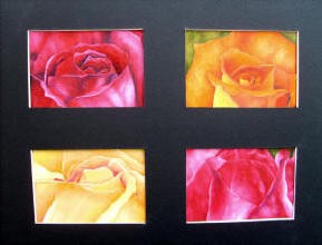 Flower Garden