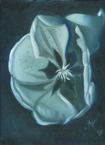 tulip in blue