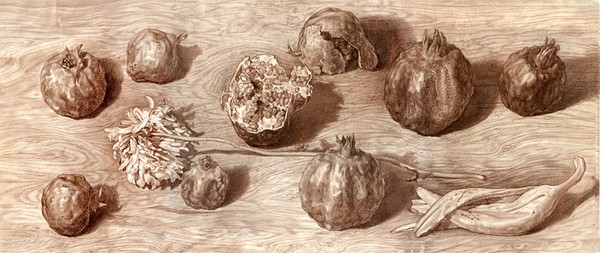 Grenades and chrysanthemum