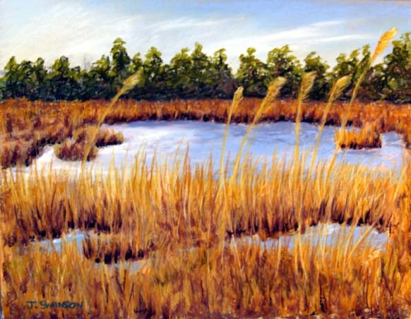 Barnegat Winter Marsh