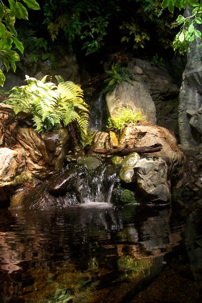Waterfall