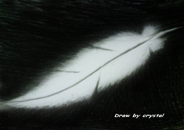 the lonely feather