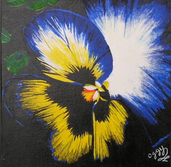 A bit of a Pansy