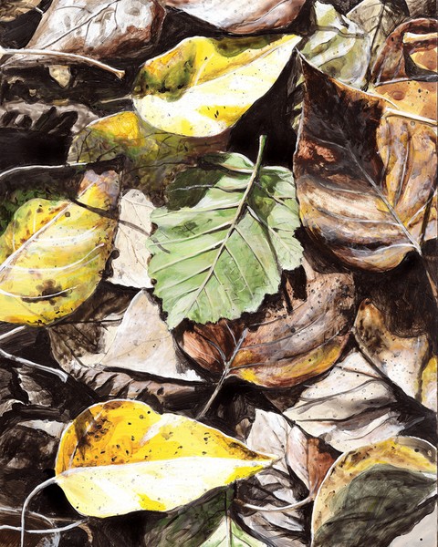 Talkeetna Leaves