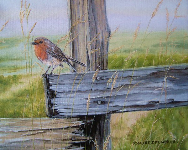 Little Robin