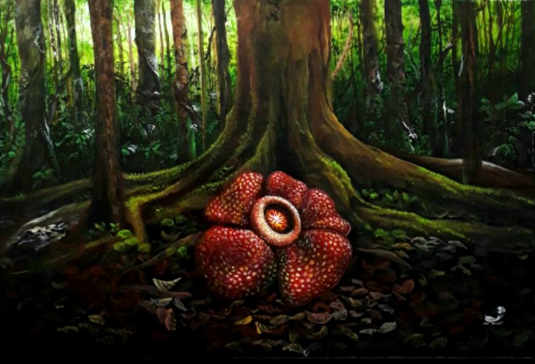 Rafflesia flower