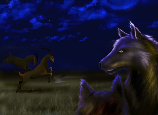 wolf dreams