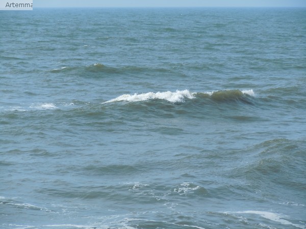 DSCN0931