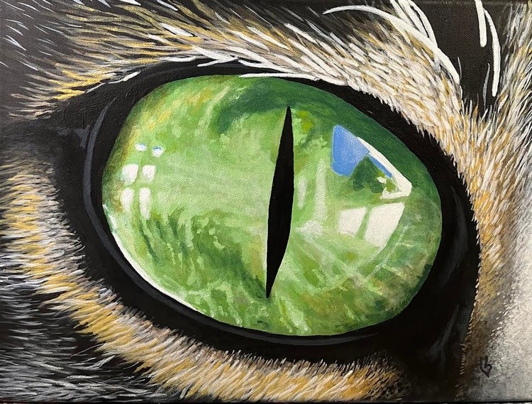 Oho del Gato