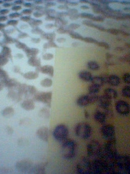 tracce