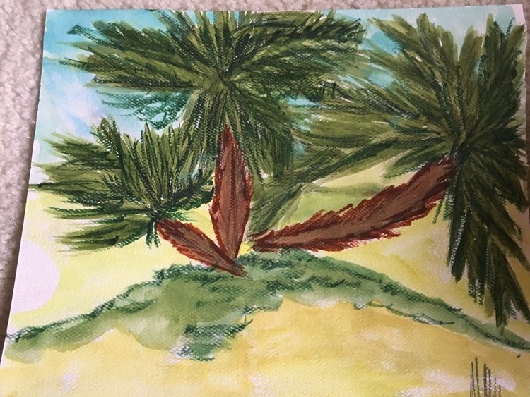 Oasis