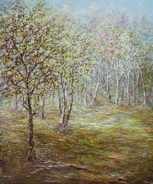 Noon in the forest