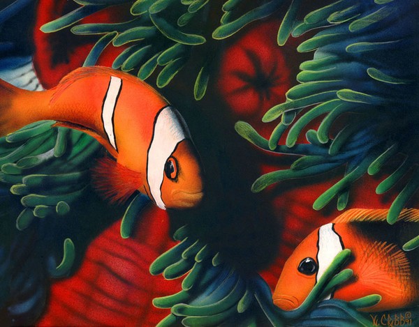 CLOWNFISH