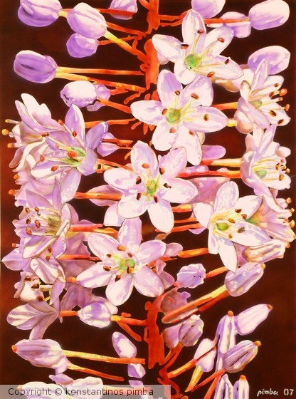 FLOWER ON GAVDOS
