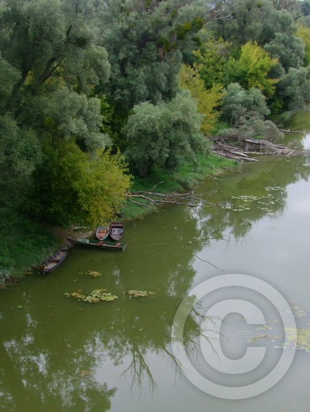 4 boats on the Danube arm