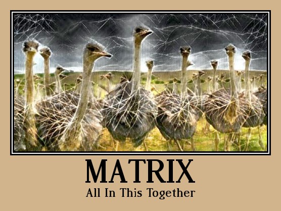 Matrix