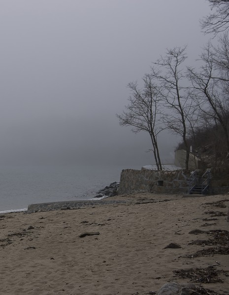 Fog at Brackenbury
