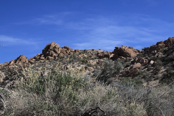 Brush & Rocky Outcrop
