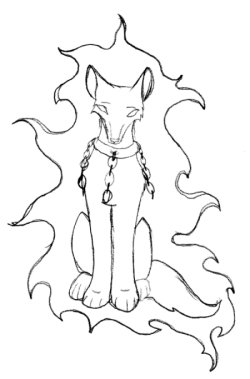 PetPage Koashila