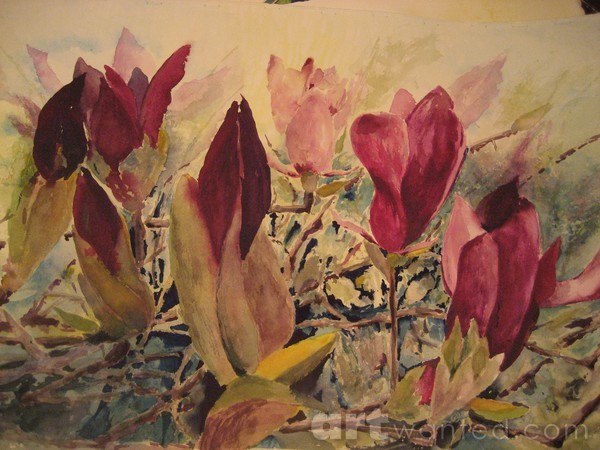 Exotic Magnolias - SOLD