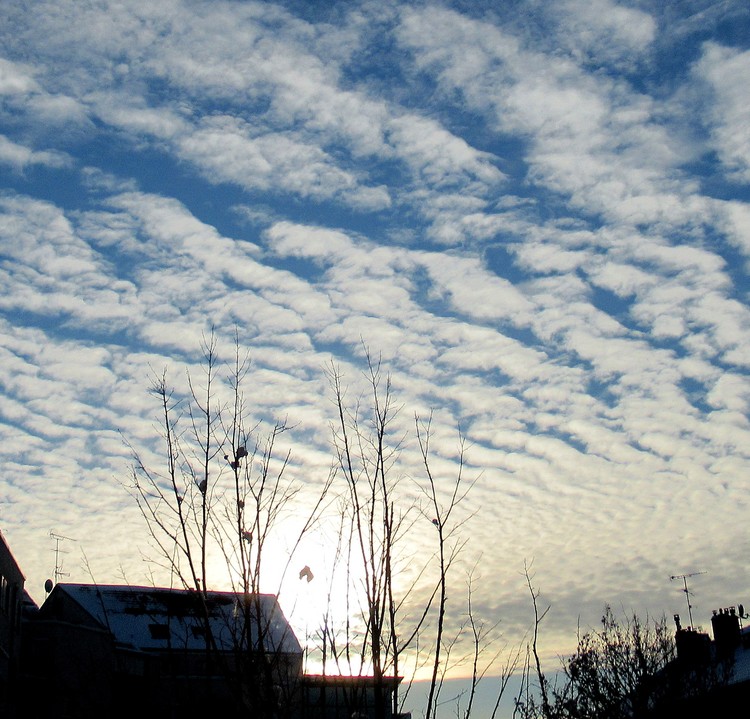 WINTER SKY VIEWED FROM MY BALCONY