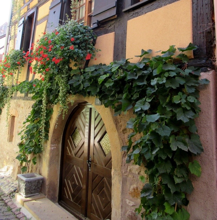 PRETTY FACADE
