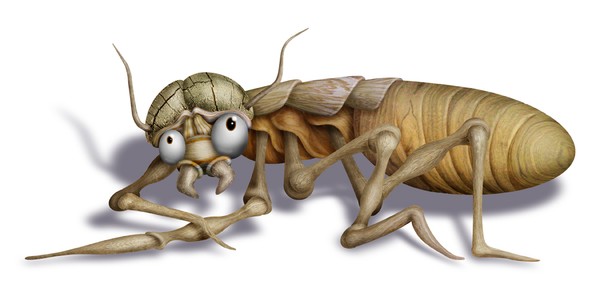 Termite