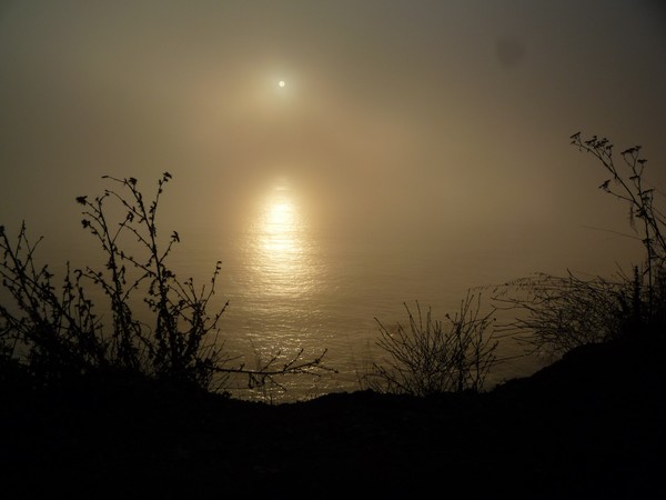 Foggy Pacific Sunset