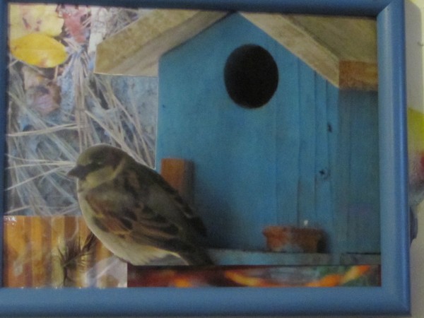 Just peering out for a look