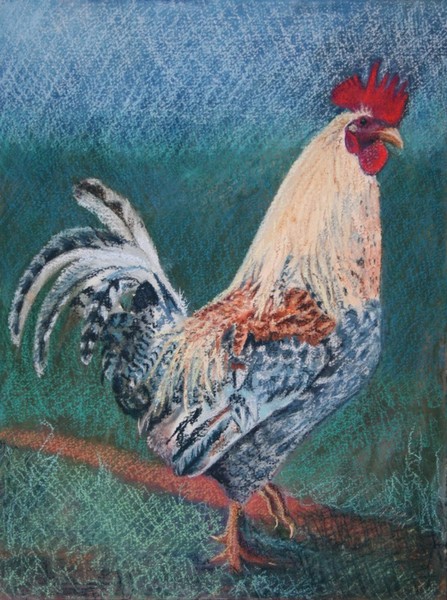 Clyde - SOLD