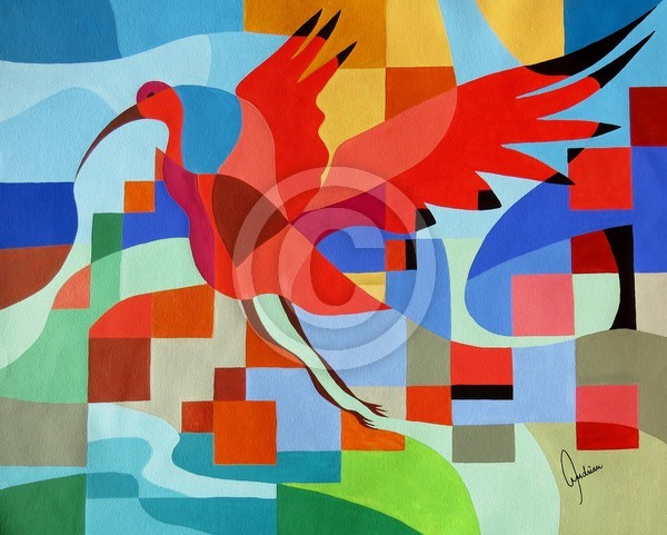 Ibis Guará