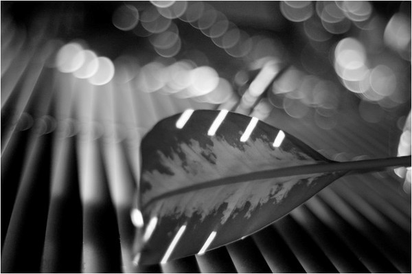 Music of Light 02
