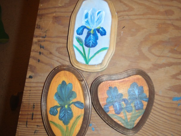 Iris Magnets