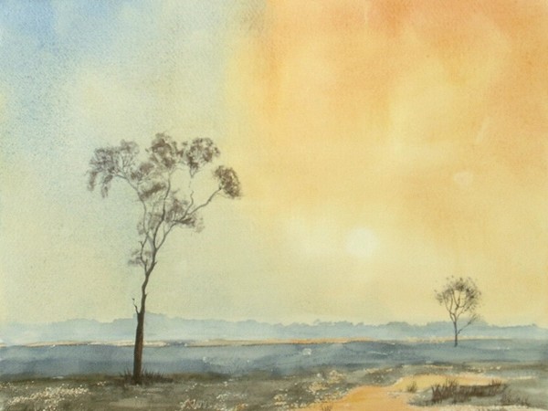 hot summer landscape 648
