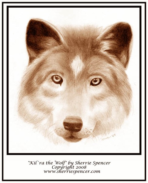 WolfBig2