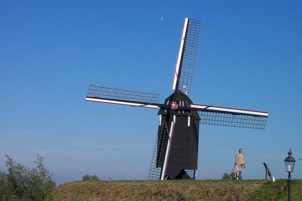 windmill