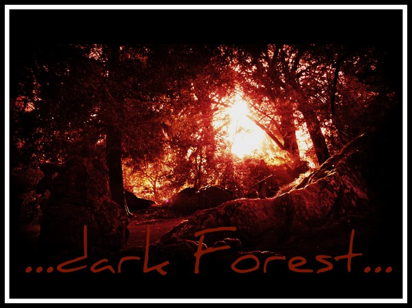 Forest England