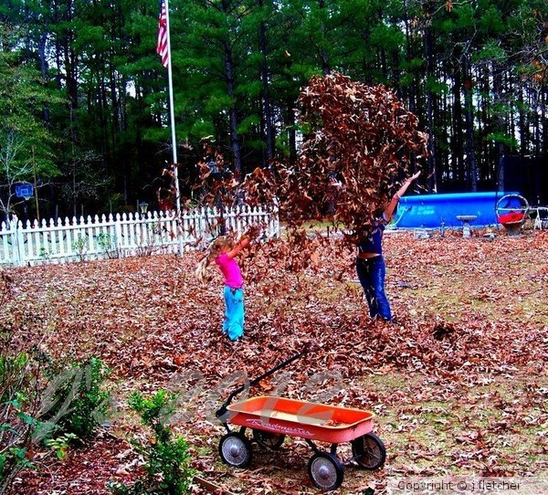 country autum