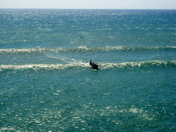 SEA HAWK