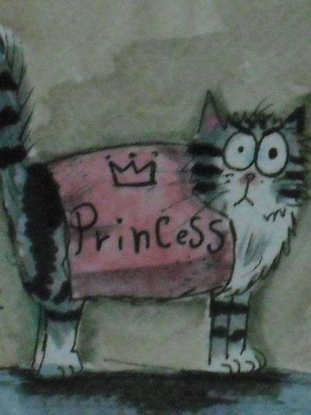KITTY/Does not like present