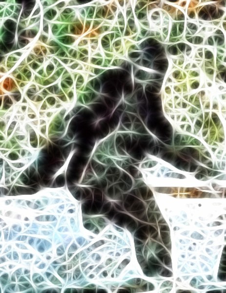 Mistical Bigfoot