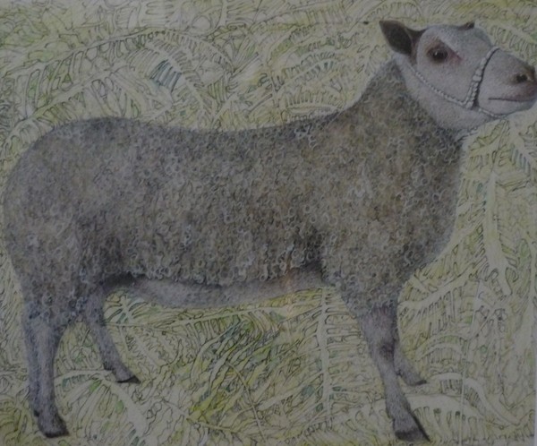 sheep in bracken