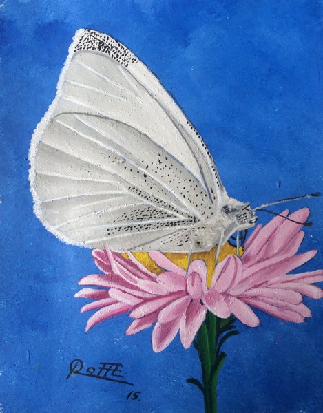 MARIPOSA BLANCA.
