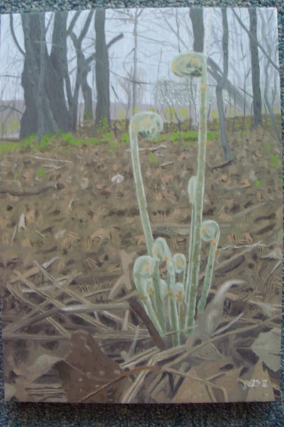 Fiddlehead