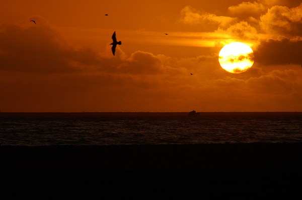 Sunset On The Pacific