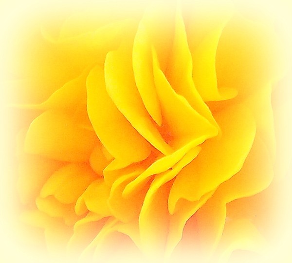 They call it mellow yellow