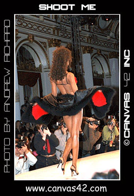 The Fashion Show
