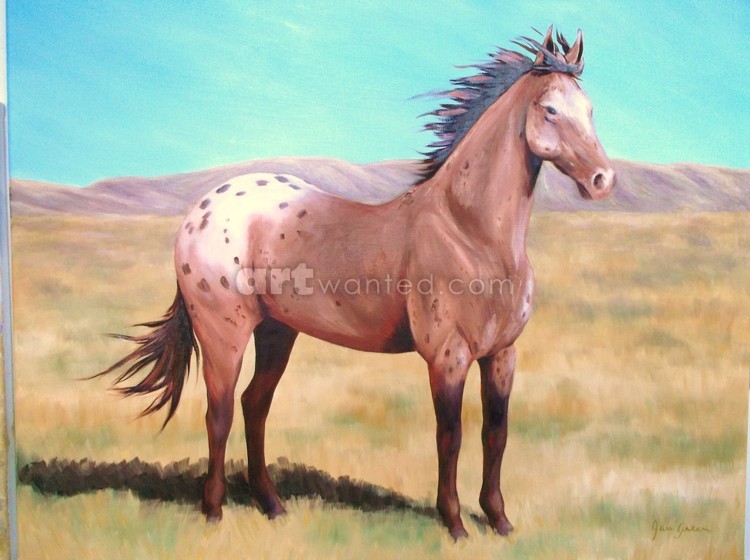 nez perce pony