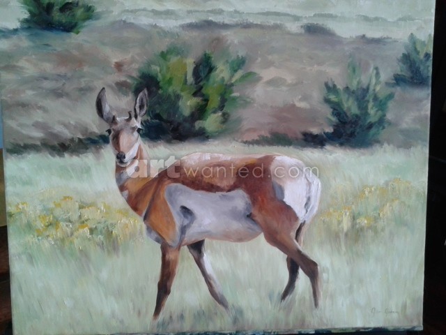 antelope 5