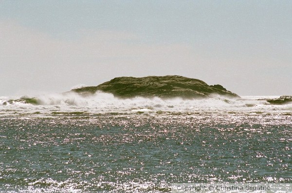 Popham Spray